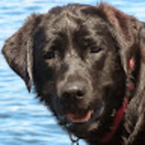 Meet your Posher, Cassidy